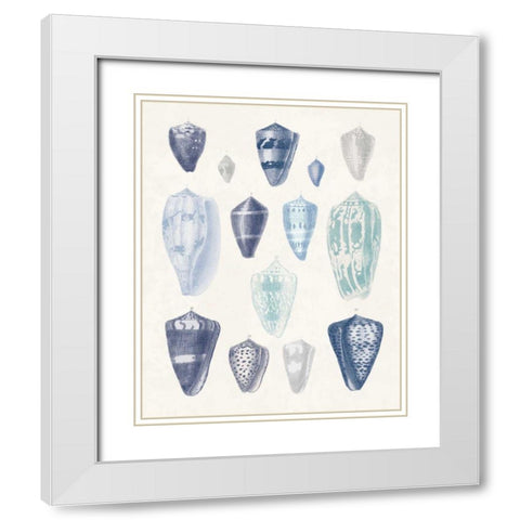 Blue Shell Assortment I White Modern Wood Framed Art Print with Double Matting by Wild Apple Portfolio