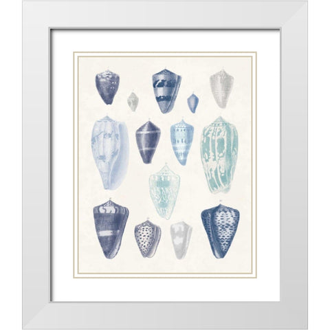 Blue Shell Assortment I White Modern Wood Framed Art Print with Double Matting by Wild Apple Portfolio