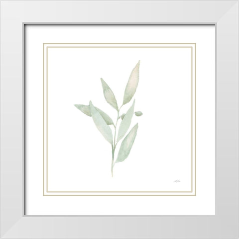 Sage II White Modern Wood Framed Art Print with Double Matting by Pete, Katrina