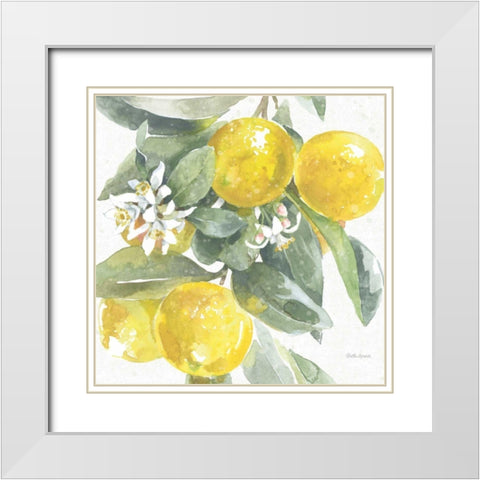 Citrus Charm Lemons I White Modern Wood Framed Art Print with Double Matting by Grove, Beth