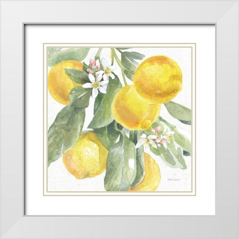 Citrus Charm Lemons II White Modern Wood Framed Art Print with Double Matting by Grove, Beth