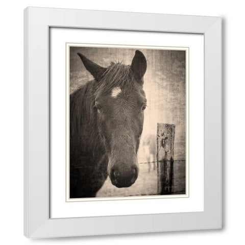 Heres Looking at You I White Modern Wood Framed Art Print with Double Matting by Van Swearingen, Debra