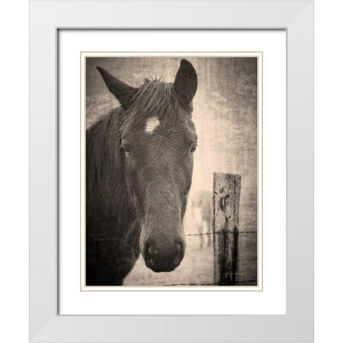 Heres Looking at You I White Modern Wood Framed Art Print with Double Matting by Van Swearingen, Debra