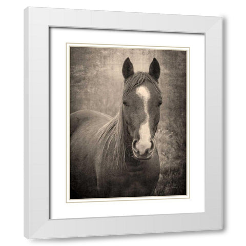 Heres Looking at You II White Modern Wood Framed Art Print with Double Matting by Van Swearingen, Debra