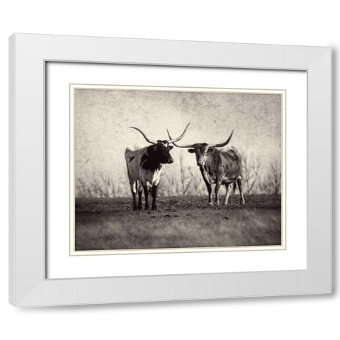 Texas Longhorns White Modern Wood Framed Art Print with Double Matting by Van Swearingen, Debra