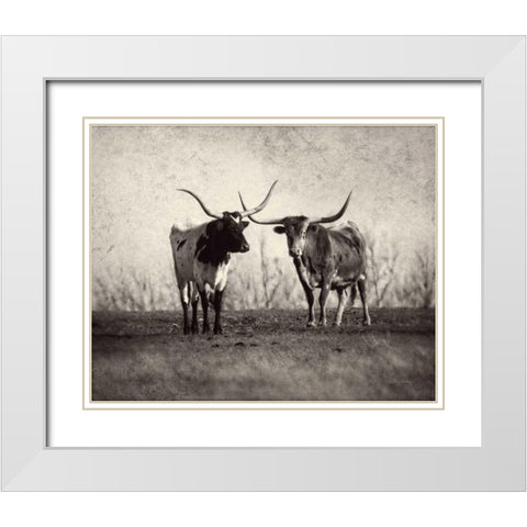Texas Longhorns White Modern Wood Framed Art Print with Double Matting by Van Swearingen, Debra
