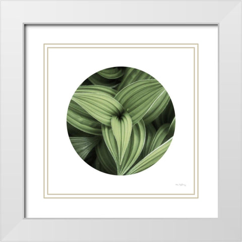 Corn Lily Circle II White Modern Wood Framed Art Print with Double Matting by Majchrowicz, Alan
