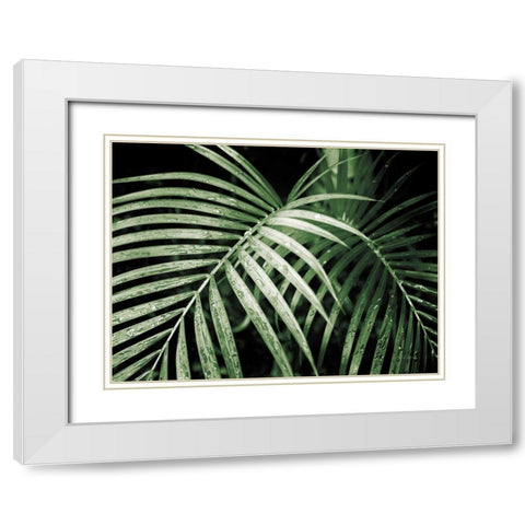 Palm Fronds Green White Modern Wood Framed Art Print with Double Matting by Van Swearingen, Debra