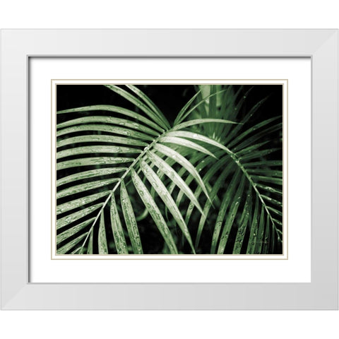 Palm Fronds Green White Modern Wood Framed Art Print with Double Matting by Van Swearingen, Debra