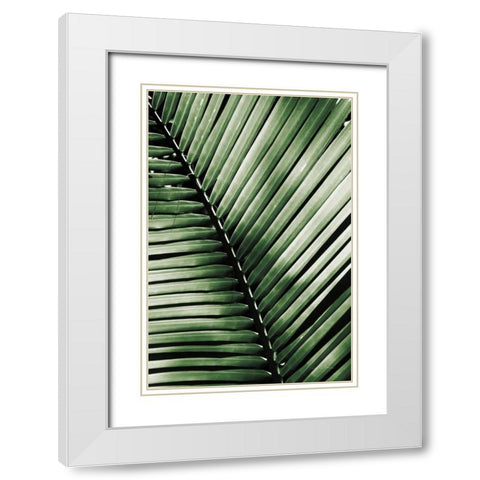 Palm Frond I Green White Modern Wood Framed Art Print with Double Matting by Van Swearingen, Debra