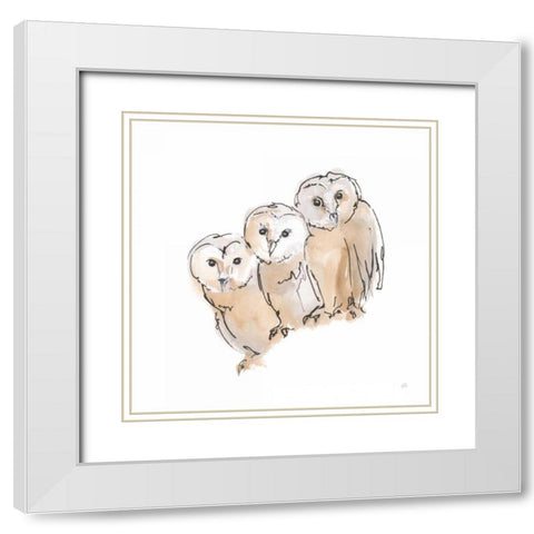 Barn Owl III White Modern Wood Framed Art Print with Double Matting by Paschke, Chris