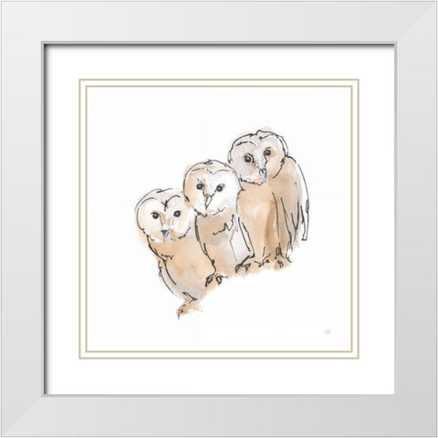 Barn Owl III White Modern Wood Framed Art Print with Double Matting by Paschke, Chris