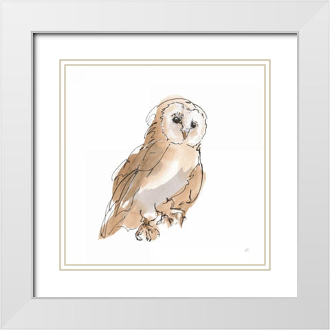 Barn Owl IV White Modern Wood Framed Art Print with Double Matting by Paschke, Chris