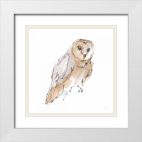 Barn Owl VI White Modern Wood Framed Art Print with Double Matting by Paschke, Chris