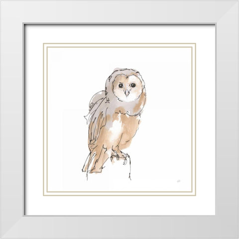 Barn Owl VIII White Modern Wood Framed Art Print with Double Matting by Paschke, Chris