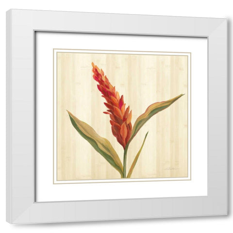Tropical Garden II White Modern Wood Framed Art Print with Double Matting by Vassileva, Silvia