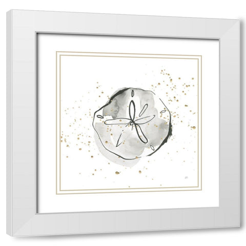 Sand Dollar I White Modern Wood Framed Art Print with Double Matting by Paschke, Chris