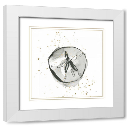 Sand Dollar II White Modern Wood Framed Art Print with Double Matting by Paschke, Chris