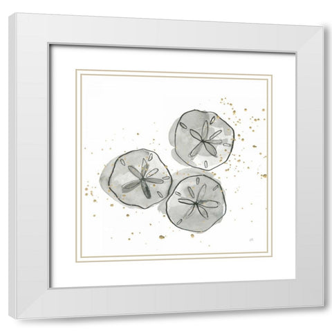 Sand Dollar III White Modern Wood Framed Art Print with Double Matting by Paschke, Chris