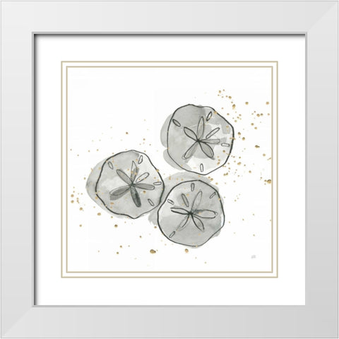Sand Dollar III White Modern Wood Framed Art Print with Double Matting by Paschke, Chris