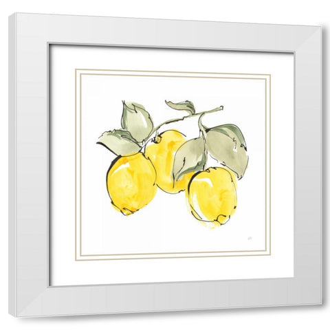 Lemons IV White Modern Wood Framed Art Print with Double Matting by Paschke, Chris
