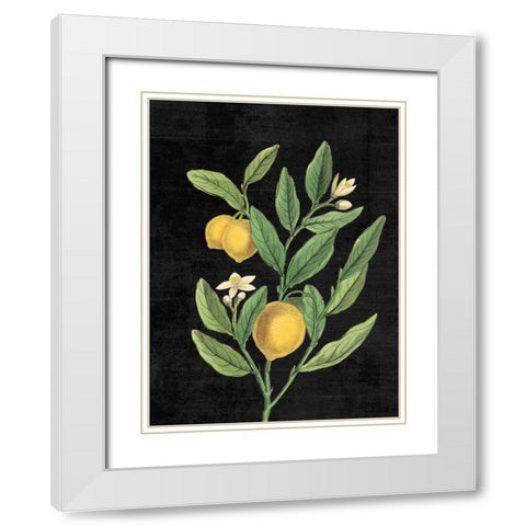 Classic Citrus V Black No Words White Modern Wood Framed Art Print with Double Matting by Schlabach, Sue