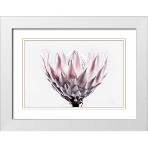 Pale Protea Detail II White Modern Wood Framed Art Print with Double Matting by Catterall, Elise
