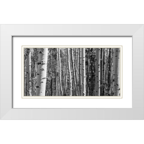 Aspen Grove White Modern Wood Framed Art Print with Double Matting by Urquhart, Elizabeth