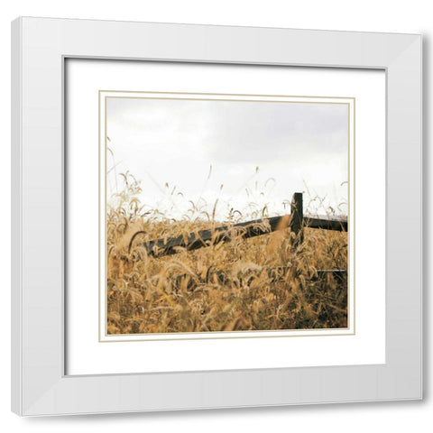 Fencerow Light Crop White Modern Wood Framed Art Print with Double Matting by Aledanda