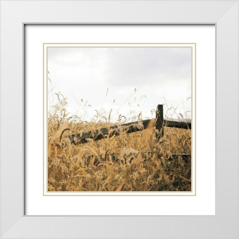 Fencerow Light Crop White Modern Wood Framed Art Print with Double Matting by Aledanda