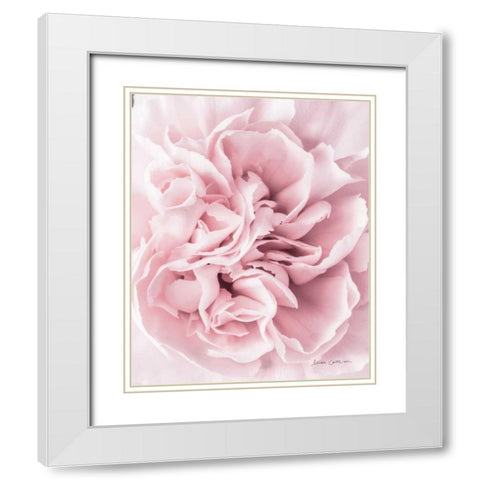 Pink Carnation Crop White Modern Wood Framed Art Print with Double Matting by Catterall, Elise