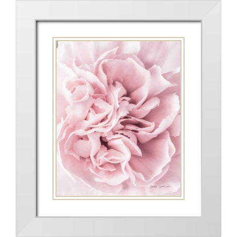 Pink Carnation Crop White Modern Wood Framed Art Print with Double Matting by Catterall, Elise