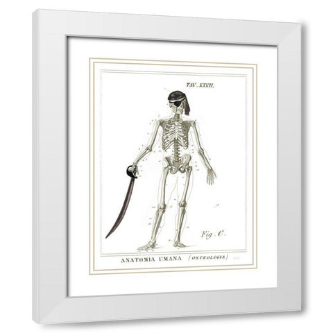 Dandy Bones Pirate White Modern Wood Framed Art Print with Double Matting by Schlabach, Sue