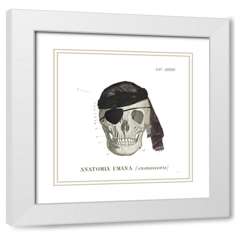Dandy Bones VI Pirate White Modern Wood Framed Art Print with Double Matting by Schlabach, Sue