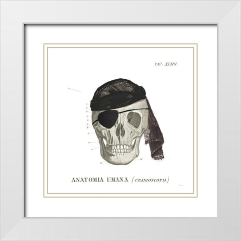 Dandy Bones VI Pirate White Modern Wood Framed Art Print with Double Matting by Schlabach, Sue