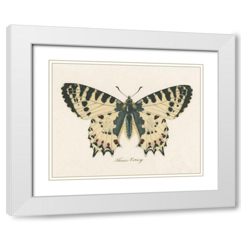 Natures Butterfly I White Modern Wood Framed Art Print with Double Matting by Wild Apple Portfolio