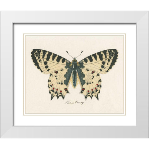 Natures Butterfly I White Modern Wood Framed Art Print with Double Matting by Wild Apple Portfolio