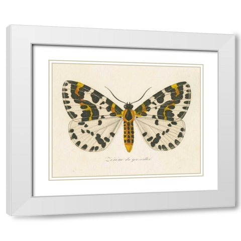 Natures Butterfly IV White Modern Wood Framed Art Print with Double Matting by Wild Apple Portfolio