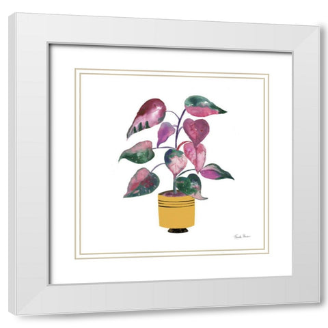 Potted Jewels II White Modern Wood Framed Art Print with Double Matting by Zaman, Farida