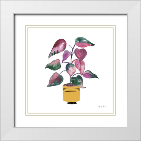 Potted Jewels II White Modern Wood Framed Art Print with Double Matting by Zaman, Farida