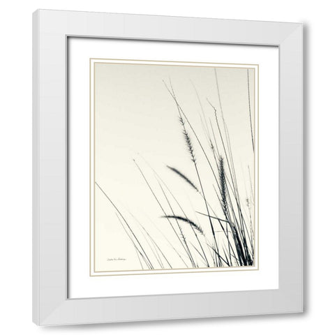 Field Grasses II White Modern Wood Framed Art Print with Double Matting by Van Swearingen, Debra