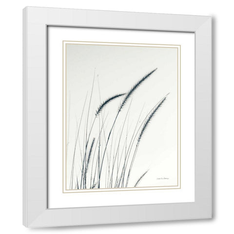 Field Grasses III White Modern Wood Framed Art Print with Double Matting by Van Swearingen, Debra