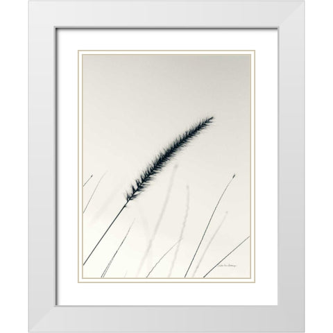 Field Grasses V White Modern Wood Framed Art Print with Double Matting by Van Swearingen, Debra