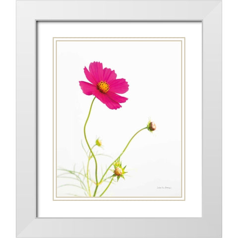 Magenta Cosmos I White Modern Wood Framed Art Print with Double Matting by Van Swearingen, Debra