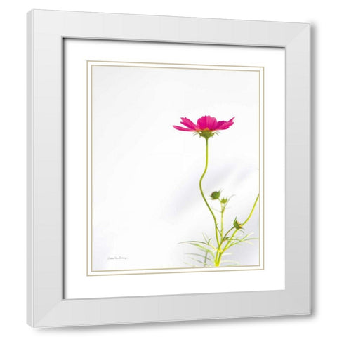 Magenta Cosmos II White Modern Wood Framed Art Print with Double Matting by Van Swearingen, Debra