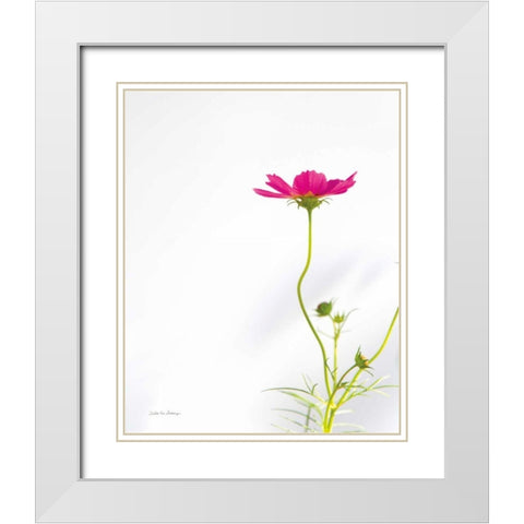 Magenta Cosmos II White Modern Wood Framed Art Print with Double Matting by Van Swearingen, Debra