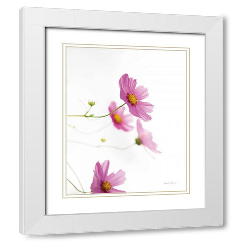 Pale Cosmos I White Modern Wood Framed Art Print with Double Matting by Van Swearingen, Debra