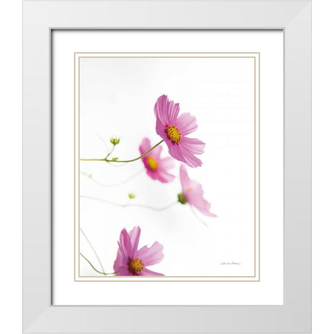 Pale Cosmos I White Modern Wood Framed Art Print with Double Matting by Van Swearingen, Debra