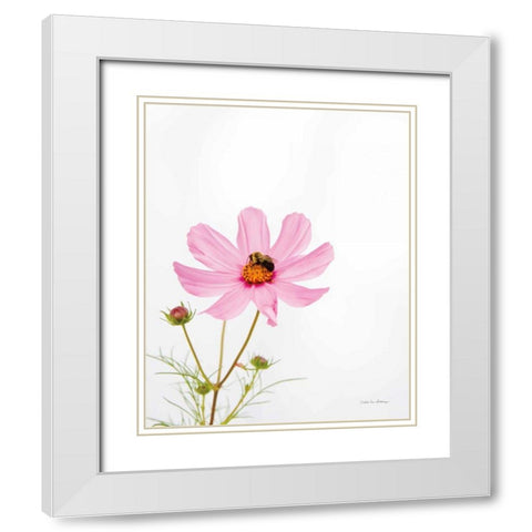 Pale Cosmos II White Modern Wood Framed Art Print with Double Matting by Van Swearingen, Debra