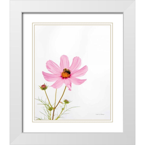 Pale Cosmos II White Modern Wood Framed Art Print with Double Matting by Van Swearingen, Debra